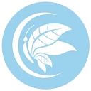 The Catalyst Center logo