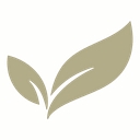 Catherine Foundation logo