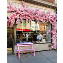 Catherine's Boutique