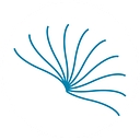 Caval logo