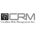 Cavallino Risk Management logo