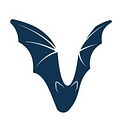 Cavi Consulting logo
