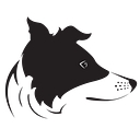 Favicon of Carolina Border Collie Rescue
