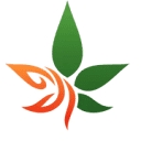 Cbdhempweed logo