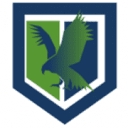 CB Intelligence Limited logo