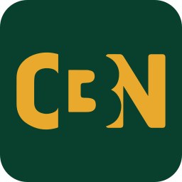 CBN Tech Force, Inc. logo