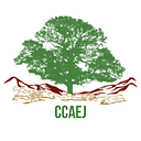 Center for Community Action and logo