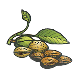 Central California Almond Growers Association logo