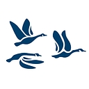 The Canadian Ced Network logo