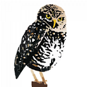 Cape Coral Friends of Wildlife Inc logo