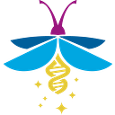 CCHS Network Inc logo