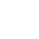 Customs Clearance Limited logo