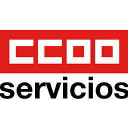 ccoo-servicios.es