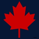 Ccsav logo