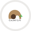Calvary Chapel Of South Bay logo