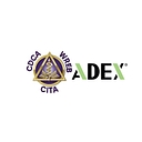 The Commission On Dental Competency Assessments logo