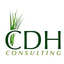 CDH Consulting