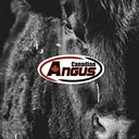 Canadian Angus Association logo