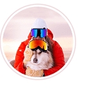 Favicon of Cecilia Blomdahl