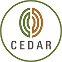 Cedar Management Consulting International Llc logo