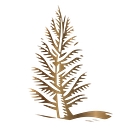 Cedarcreek Estate Winery logo