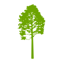 Cedar Hill Foundation logo