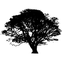 Cedar Mill Firearms logo