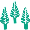 Cedars Camps logo