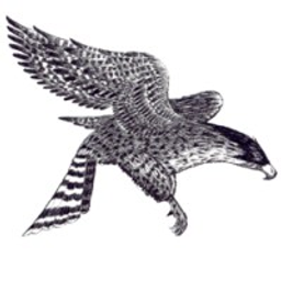 Cedar Public School District No 25 logo