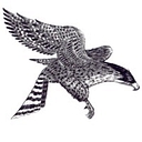 Cedar Unified District logo