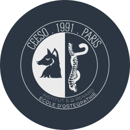 Logo CEESO Paris