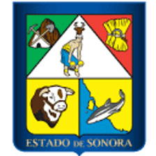 ceestra.saludsonora.gob.mx