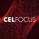 Celfocus