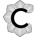 Center For Collaborative Health, Pllc logo