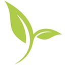 CENTER FOR EARLY SUCCESS logo