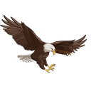 Central Alarm, Inc logo