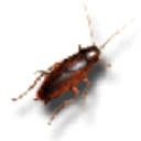 Central Arkansas Pest Services
