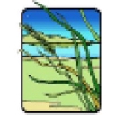 Central Coast Wilds logo