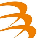 Central Piling Limited logo