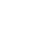 Centric Brands logo