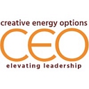 Creative Energy Options logo