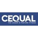 Favicon of Cequal Solutions, Inc