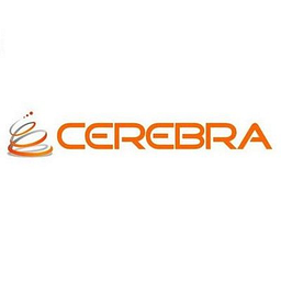 Cerebra Consulting INC. logo