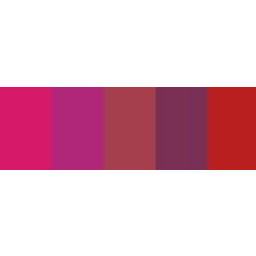 Cerise Infotech Inc logo