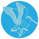 Certifying Acceptance Agent logo