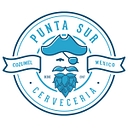 cerveceriapuntasur.com icon