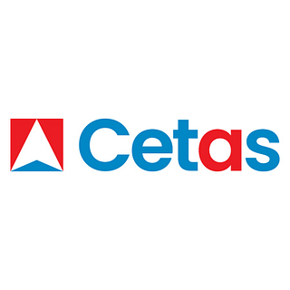 Cetas Information Technology logo