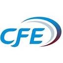 Cash Flow Enhancement Group, Inc. logo