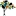 Cfpd (Colorado Fund For People With Disabilities) logo