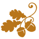 COMMUNITY FOUNDATION OF SOUTH logo